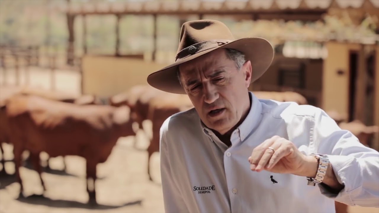 Ricardo Carneiro fala sobre Senepol e evidencia suas vantagens e qualidades