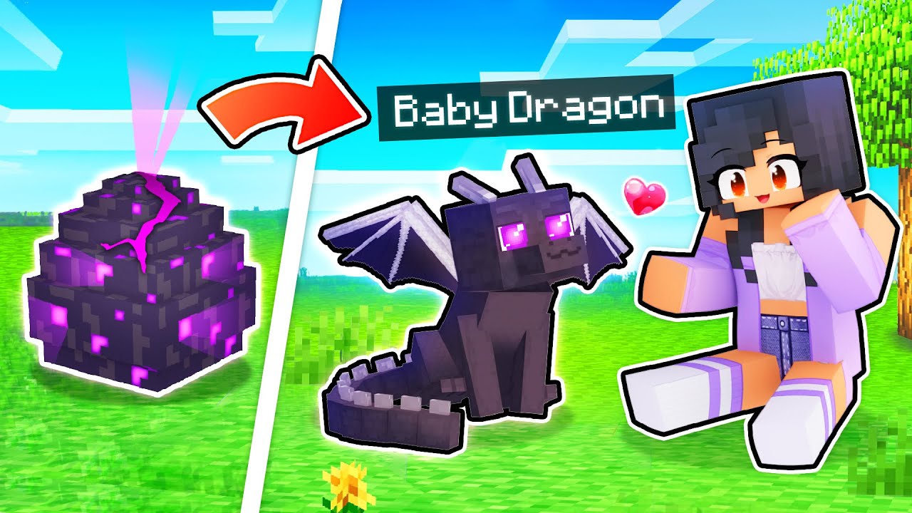 We ADOPTED Baby Dragons In Minecraft!