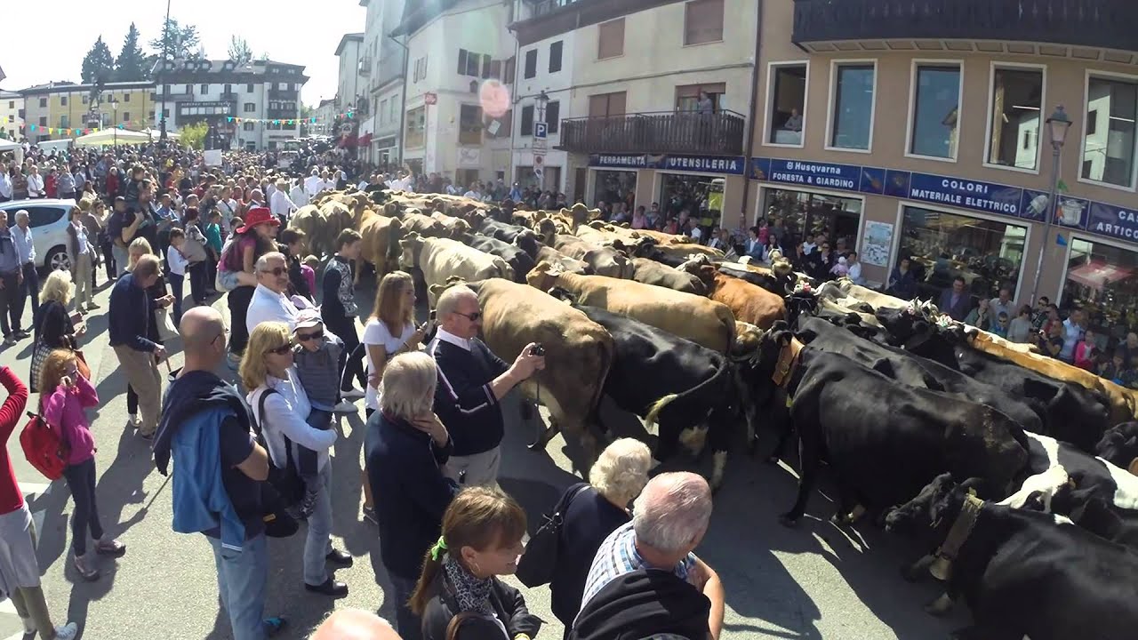 Transumanza Enego 28 settembre 2014