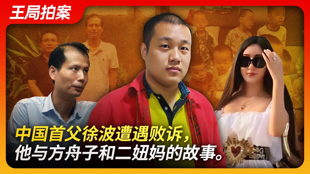 中国首父徐波遭遇败诉，他与方舟子和二妞妈的故事。｜煮肘｜捞女｜直男｜中国首父｜后宫｜徐波｜方舟子｜二妞妈｜王局拍案20240429