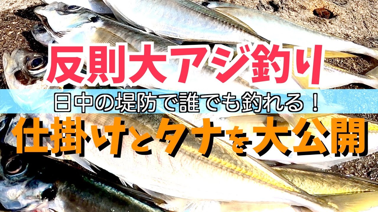 【遠投カゴ釣り】アジ釣りでとんでもない２つの大記録！釣れすぎた仕掛けをわかりやすく