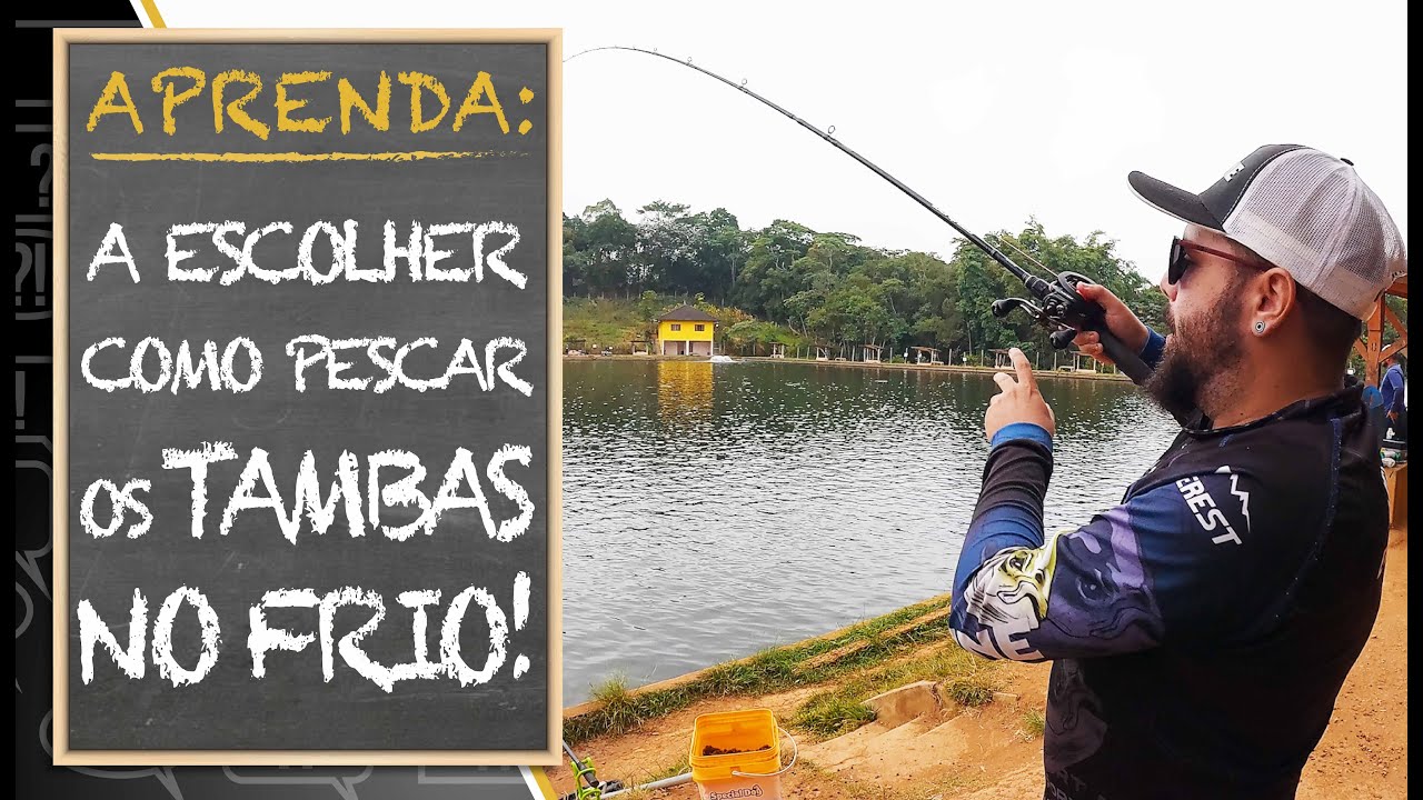 APRENDA A ESCOLHER COMO PESCAR OS TAMBAS NO FRIO!