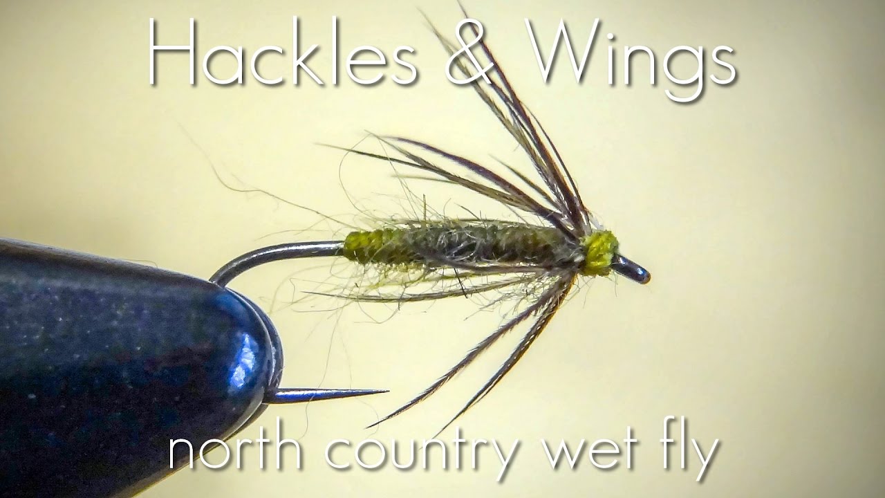 Fly Tying North Country Wet Fly | Hackles & Wings