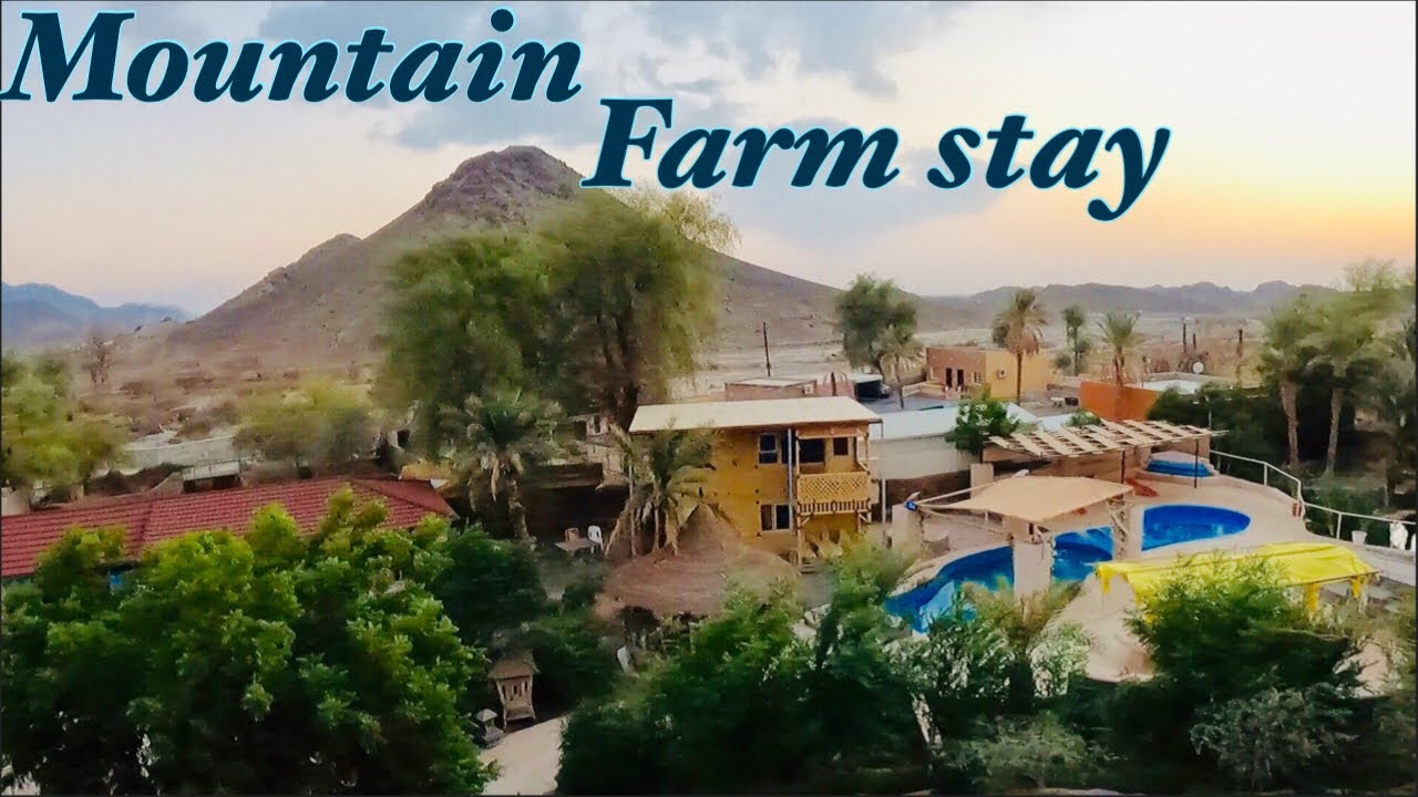 Mountain Farm stay | Shawka Mountain | Ras Al Khaima | UAE