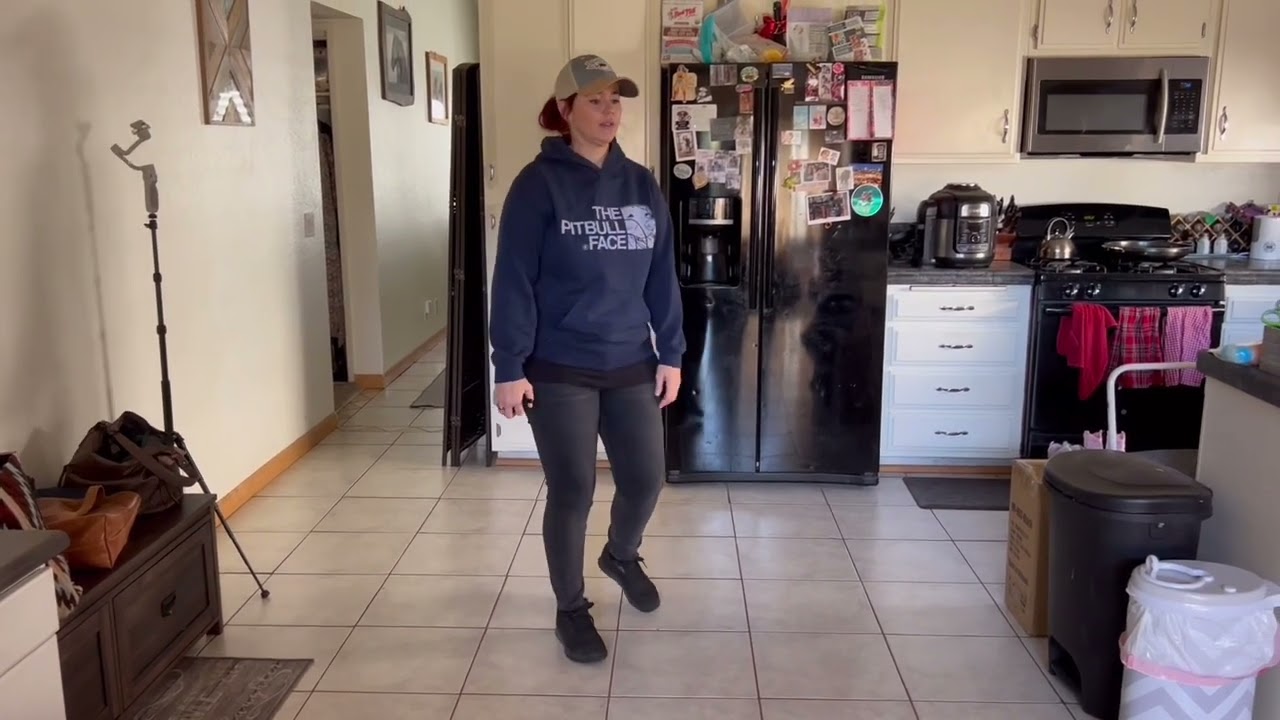 Ecollar trained dog obedience drills inside