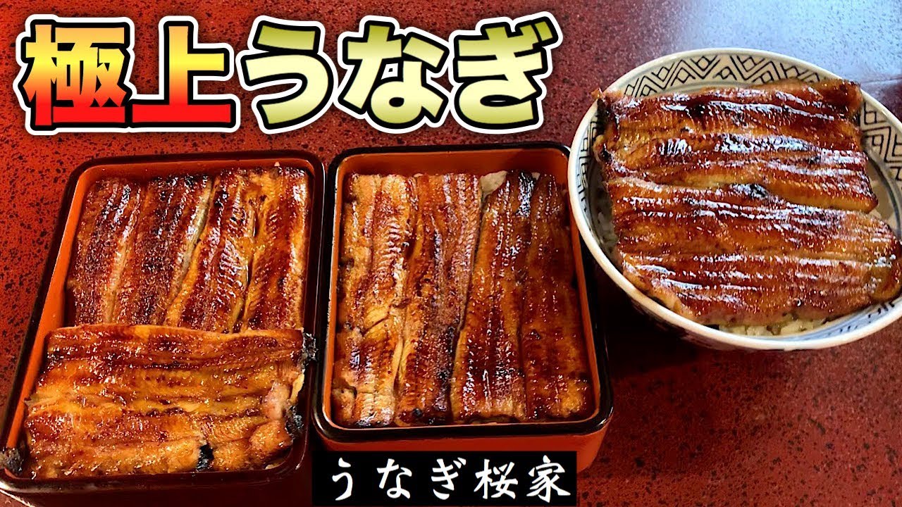 極上うなぎ【桜家】鰻重うな丼を名店で３種食い【飯テロ】unagi
