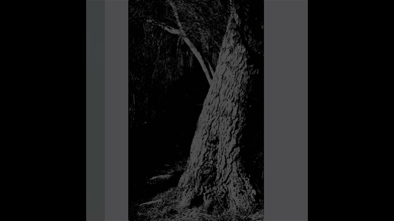 Mandragora / Trollsword / Starcave Nebula (Canada) - Songs of Night and Foliage (Split 2021)