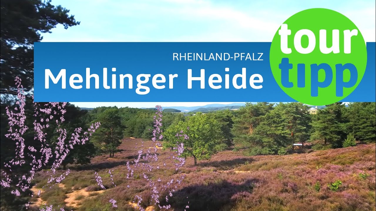 Mehlinger Heide