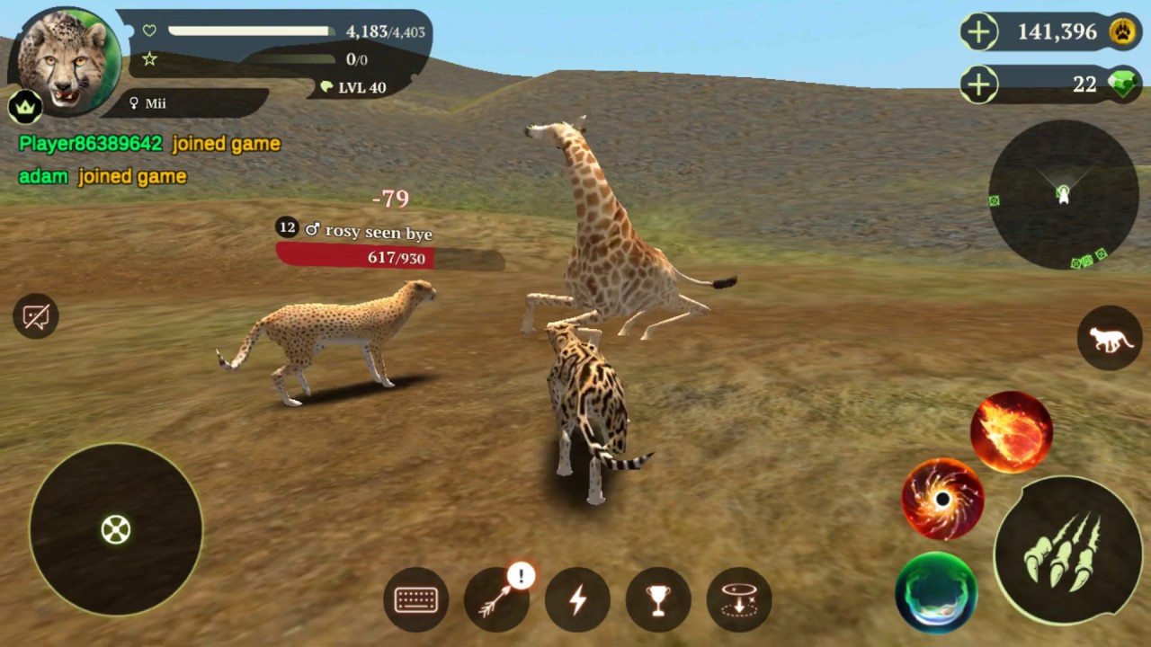 The Cheetah Online Simulator