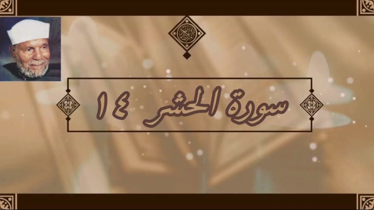 سورة الحشر الآية 14 تفسير الشيخ الشعراوي #قليل_دائم_خير