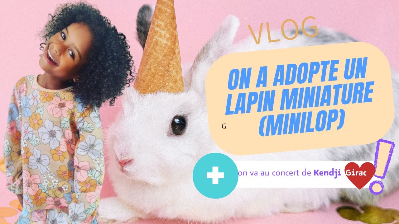 J'ai enfin adopté mon lapin miniature (minilop)❤️ |concert de Kenji Girac#vlog