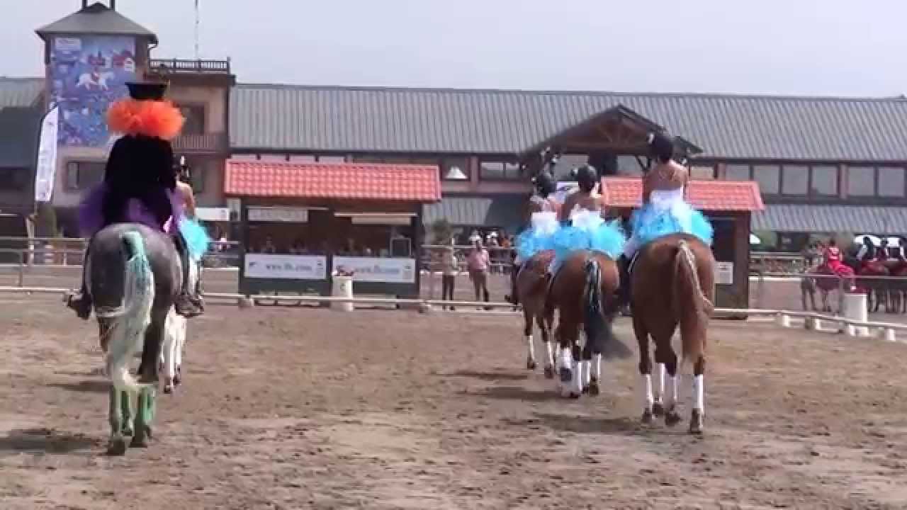 Carrousel Biarritz Lamotte Beuvron 2014