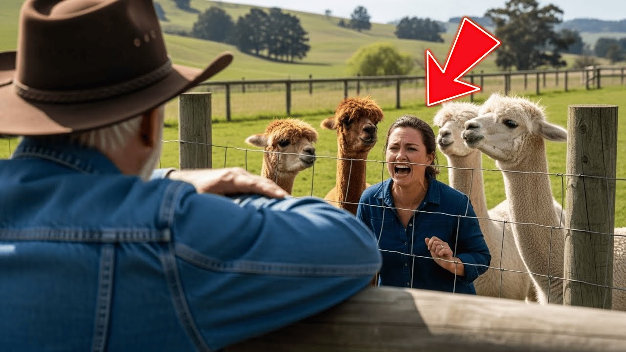 Karen Cut My Ranch Fence — Ignored the Guard Alpaca Warnings
