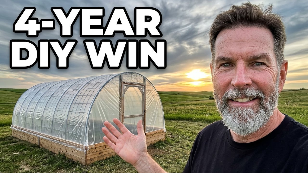 The Best Budget Greenhouse: Cattle Panel Greenhouse Review