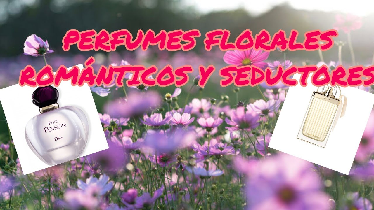 LOVE STORY y PURE POISON, seductores y romanticos❤