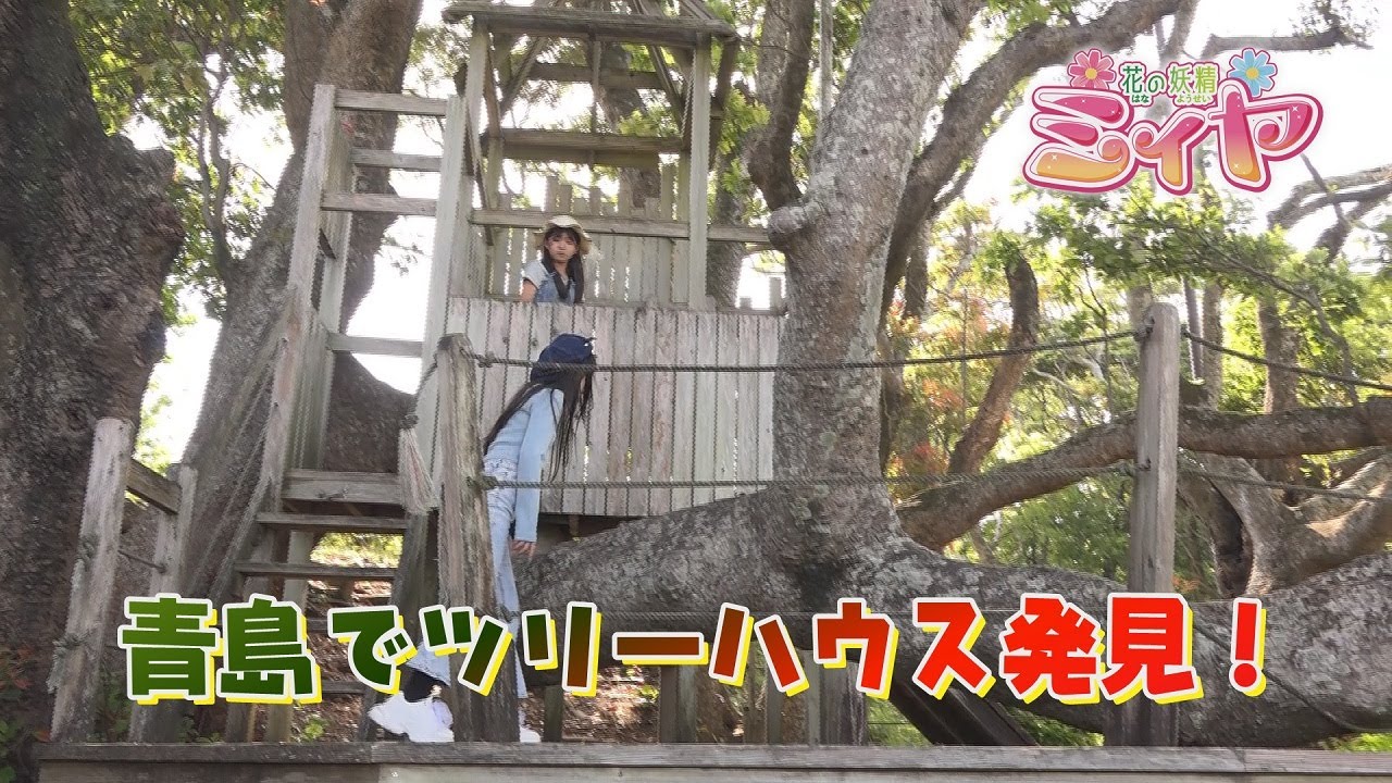 春のバラまつり開催中の青島こどものくにをぶらり旅♪ 花の妖精たちは園内の遊具を体験しながら旅していきます！