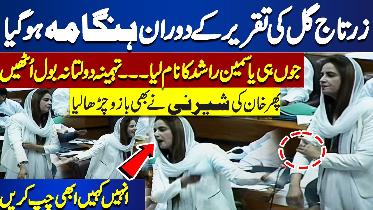 Zartaj Gul's Blasting Speech In National Assembly | Exchange Of Arguments With PMLN's LEADER