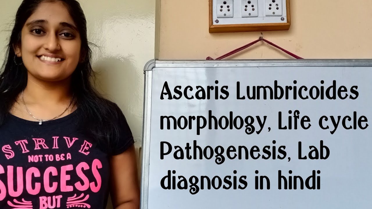 Ascaris Lumbricoides morphology, Life cycle in hindi, Pathogenesis in hindi, Lab diagnosis.