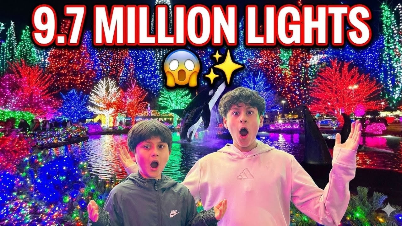 We Saw 9.7 Million Lights! 🤩✨ | Family Vlog #11 | @TheDVDvlogs