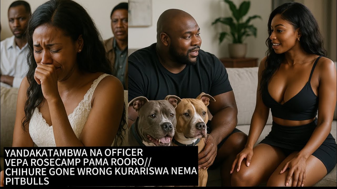 YANDAKATAMBWA NA OFFICERVEPA ROSECAMP PAMA ROORO//CHIHURE GONE WRONG KURARISWA NEMAPITBULLS