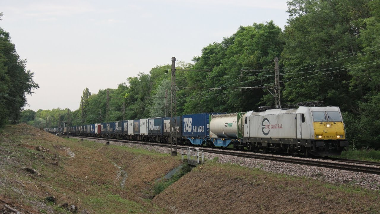 Des train dans le cadre verdoyant de la Rochette