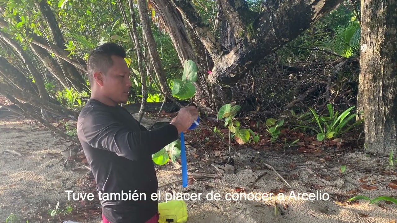 Visiting Sea Turtle Conservancy on the Zapatillas Islands