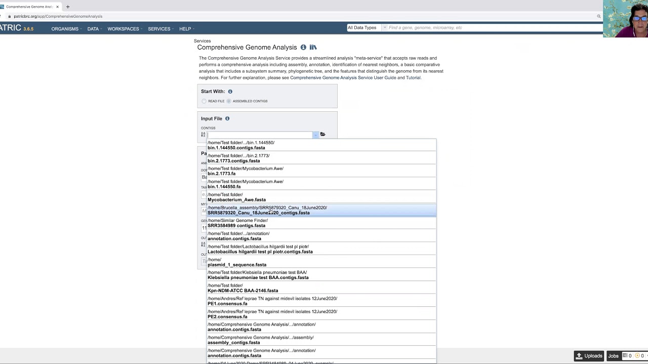 Comprehensive Genome Analysis - Submitting contig files
