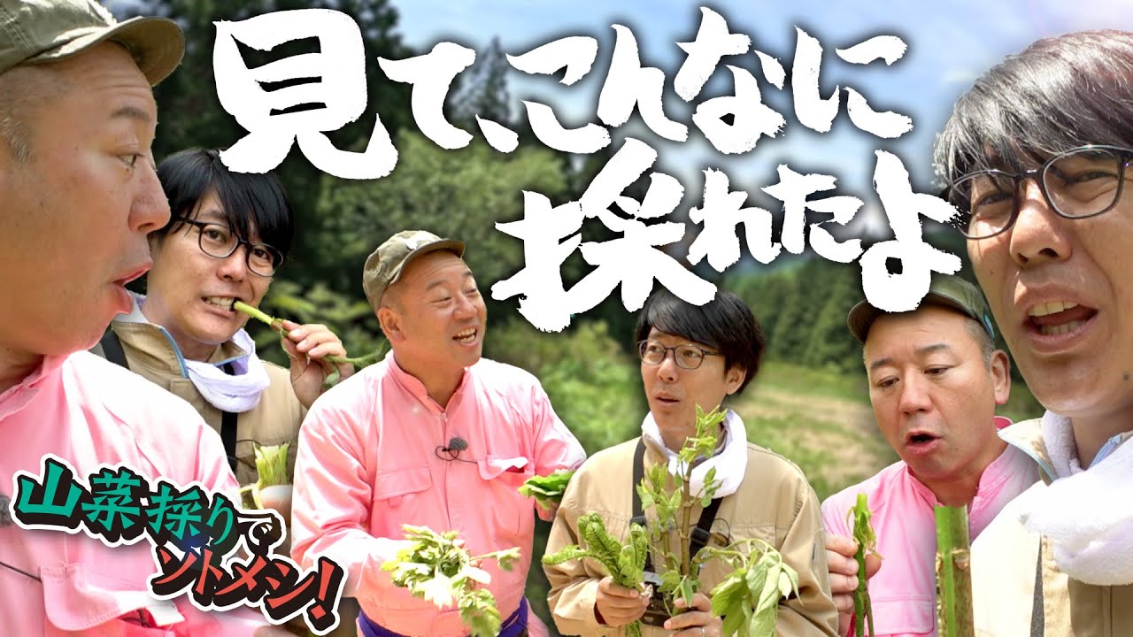 バイきんぐ西村・阿諏訪が大興奮！山菜採り放題！