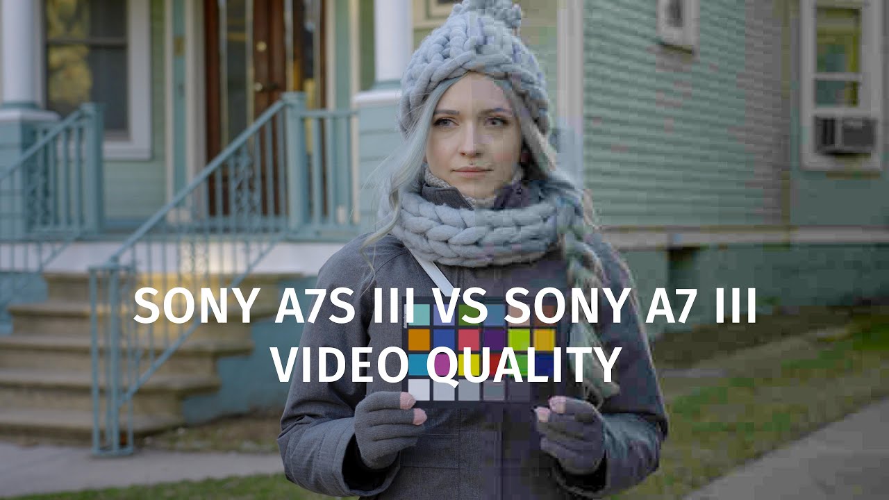 Sony A7S III vs Sony A7 III For Video
