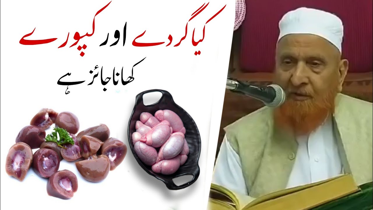 Kiya Gurde (Kidney) Aur Kapoore Khana Jaiz hai | Maulana Makki Al Hijazi @SadaqatOnline