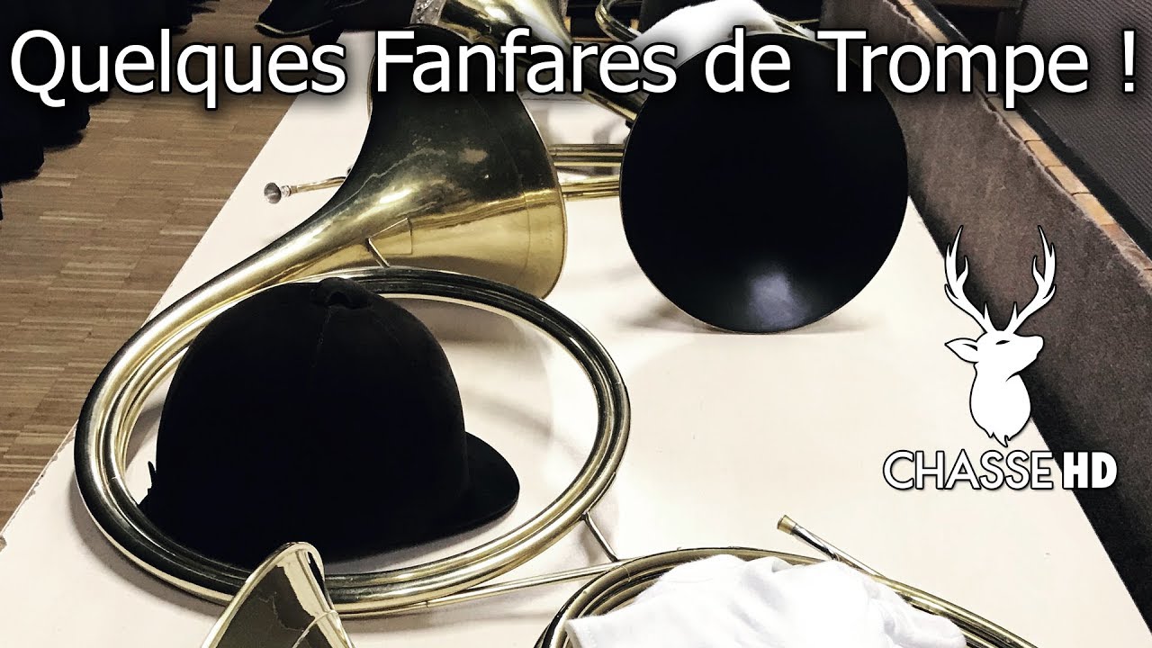 Fanfares de Trompe de Chasse Sonnées par des Champions - Chasse HD
