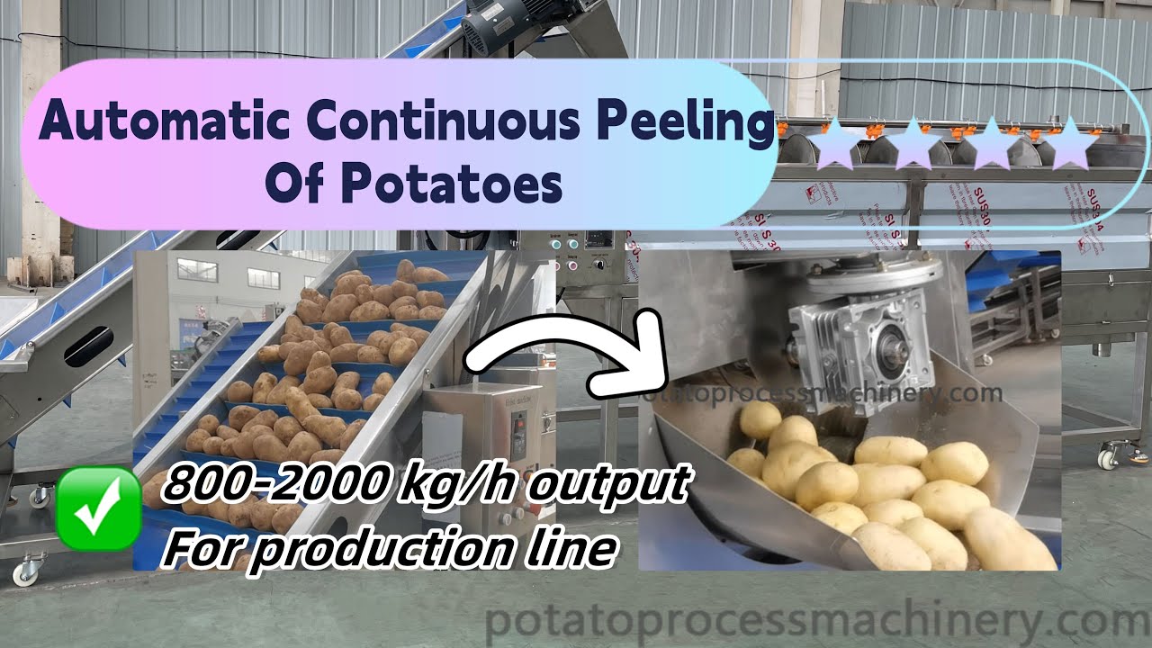 Automatic continuous potato peeler machine for heavy duty using at factory price