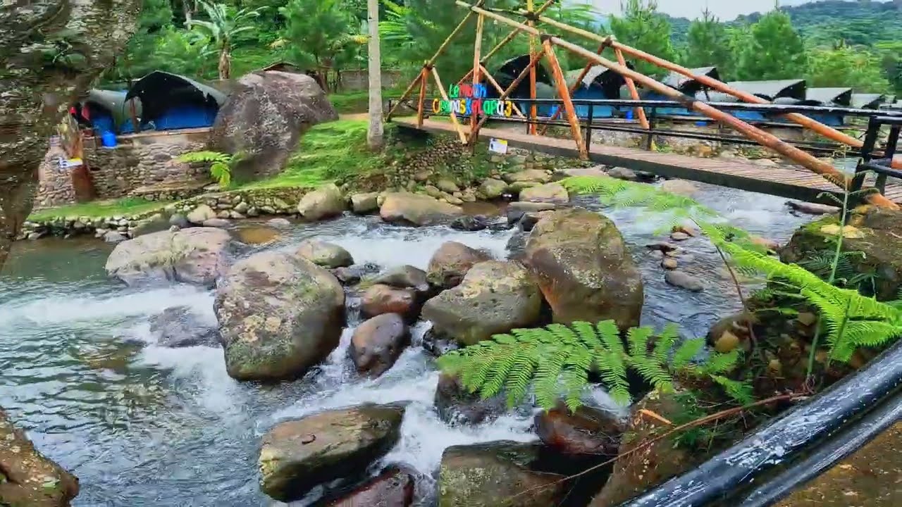 Mini Vlog : Camping Riverside Lembah Cipanas Kelapa 3 Bogor Pamijahan Jawa Barat 