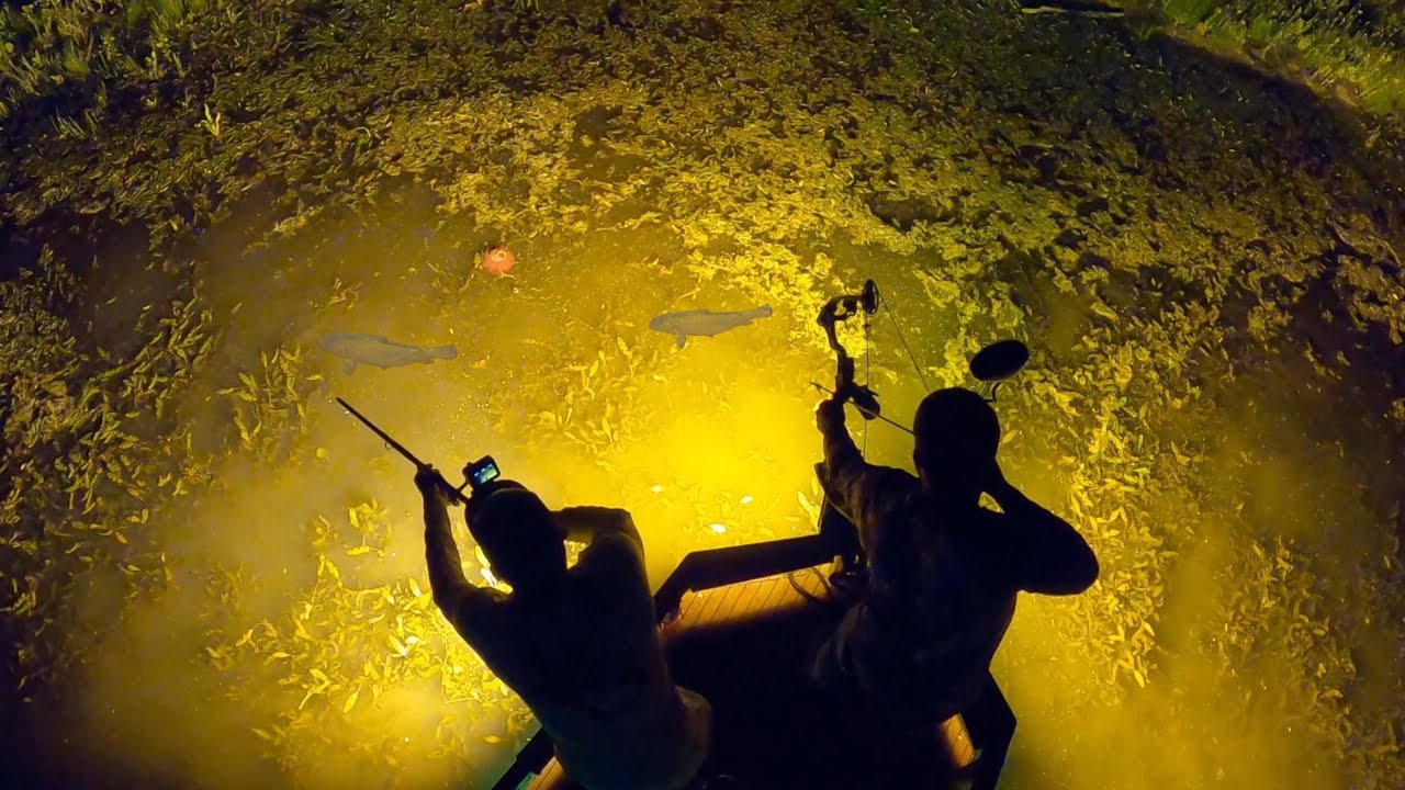 Bowfishing Giant Schools of Spawning Carp! (Blowgun Fishing)