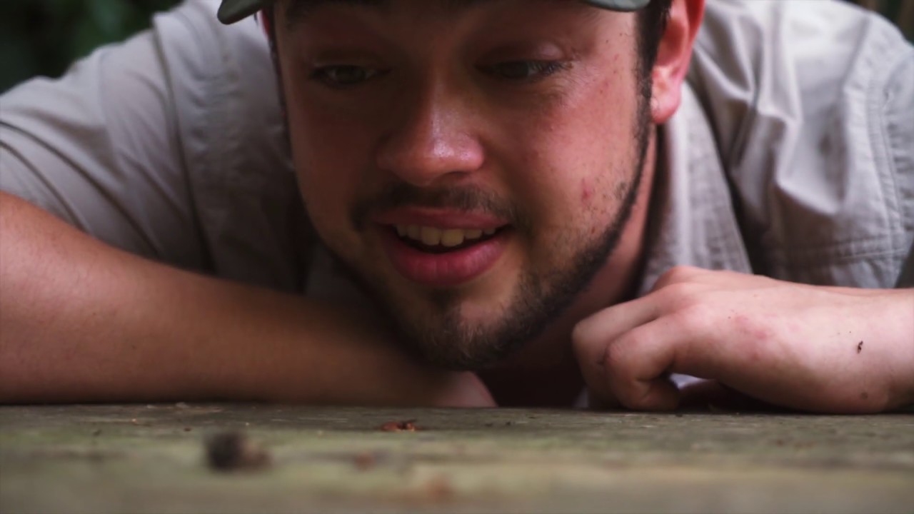 Ep3: All the Small Things | EXPEDITION CONGO | #WWFVoices