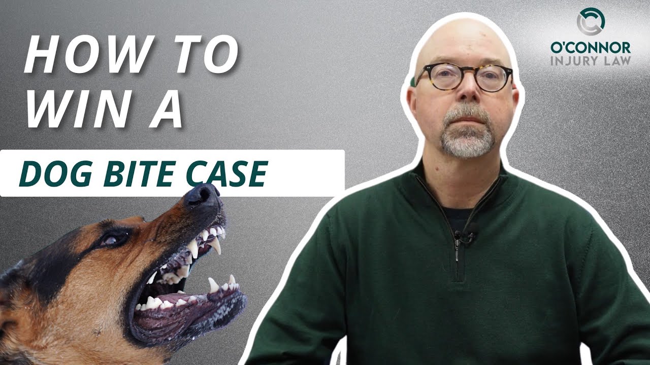 Can You Sue for a Dog Bite in New York? (Lawyer Explains)