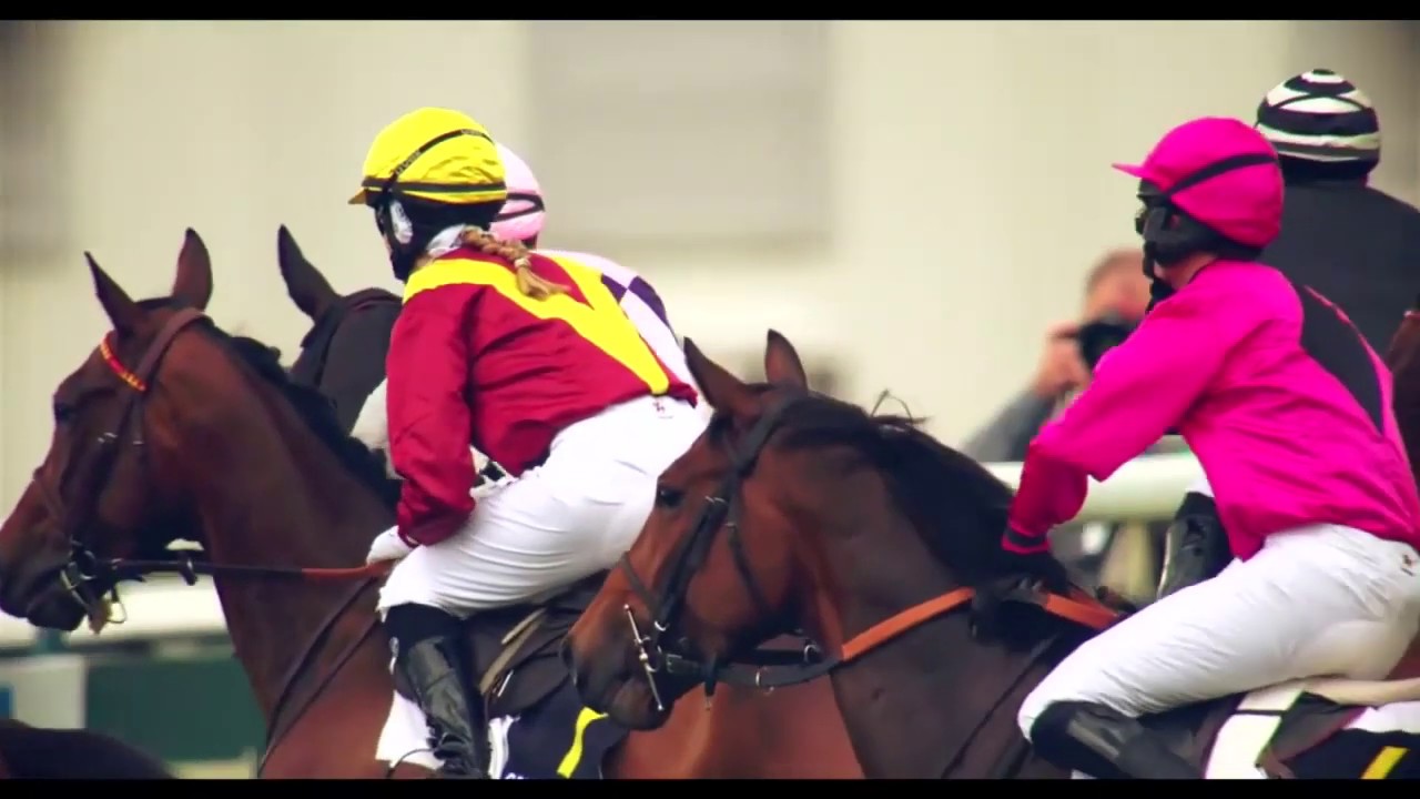 Les courses de galop