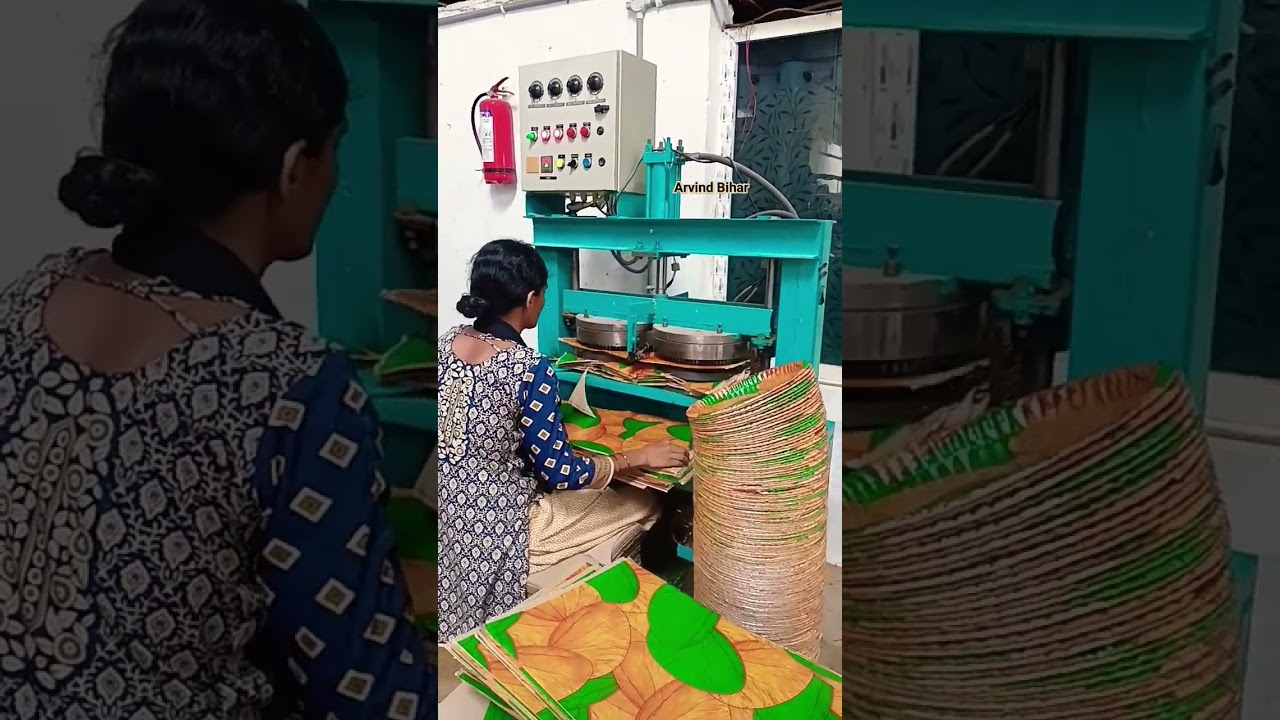 Automatic Zigzag Paper Plate Making Machine Buffet | #paperplatemachine #zigzag