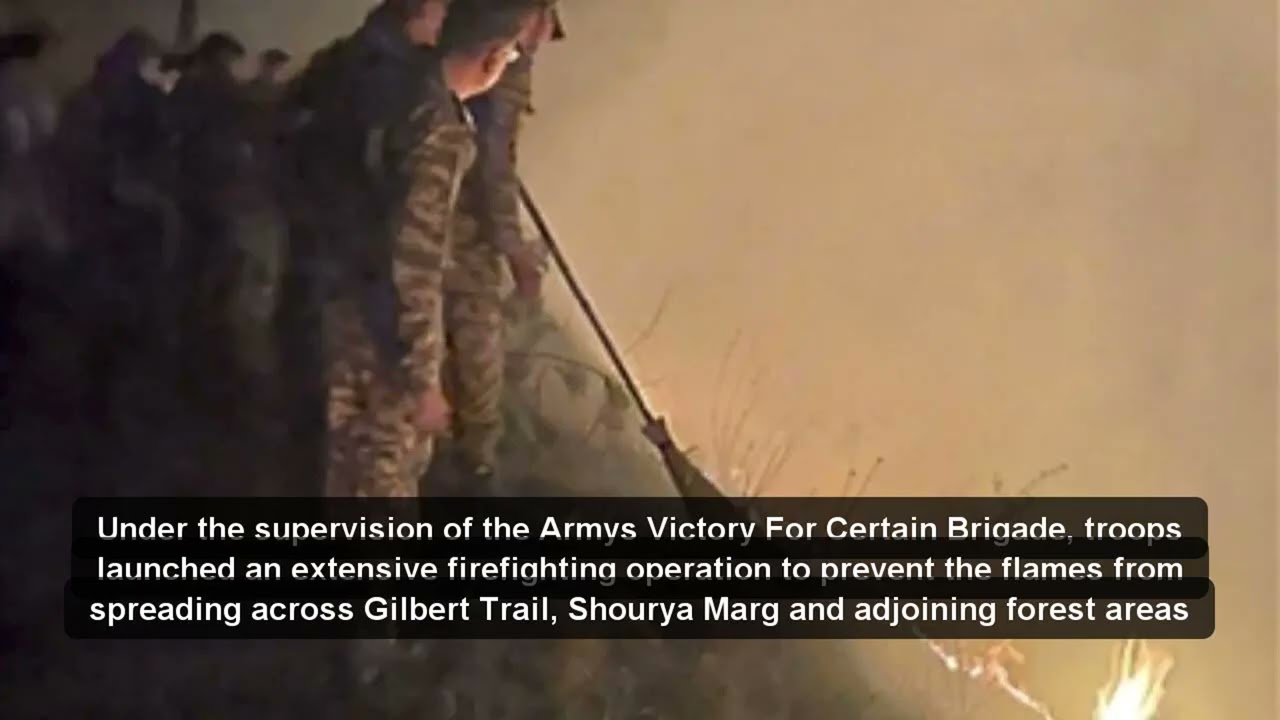 You didnt notice this at first 👀 | Massive rescue operations after forest fire in Himachal Pradeshs