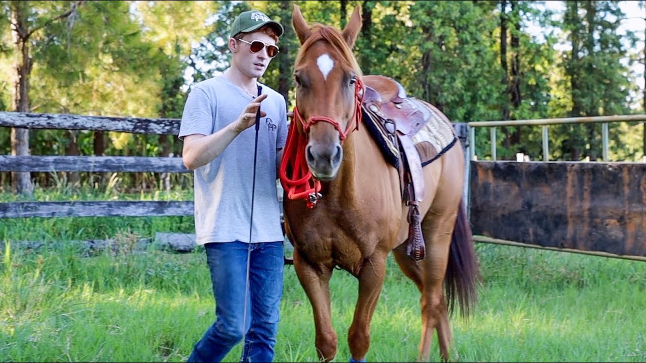 Как ПРАВИЛЬНО вести лошадь! (Как ПРОФИ!) Решим проблему с лошадью, которая тащит вас за собой!