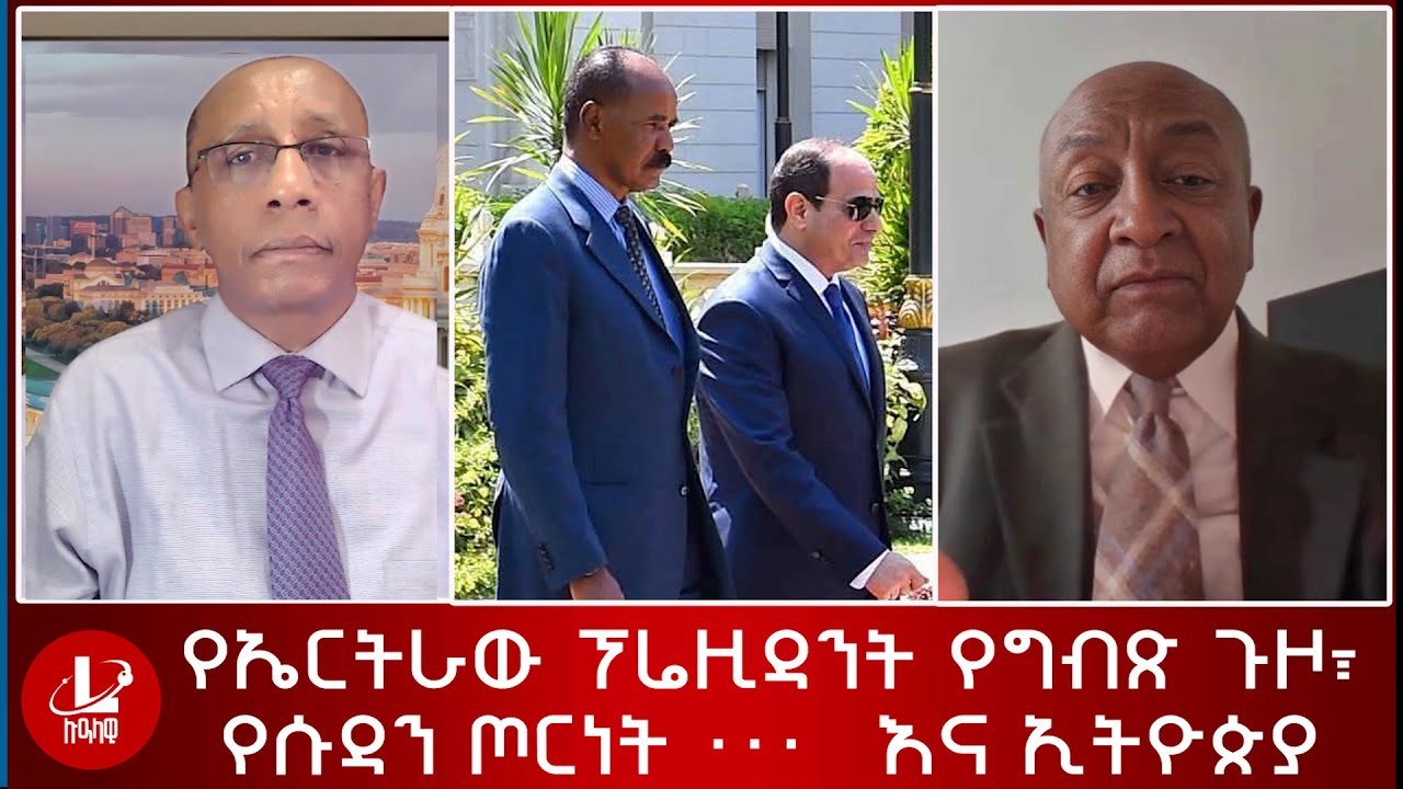 የኤርትራው ፕሬዚዳንት የግብጽ ጉዞ፣የሱዳን ጦርነት . . .እና  ኢትዮጵያ -ከፕሮፌሰር ብሩክ  ኃይሉ ጋር