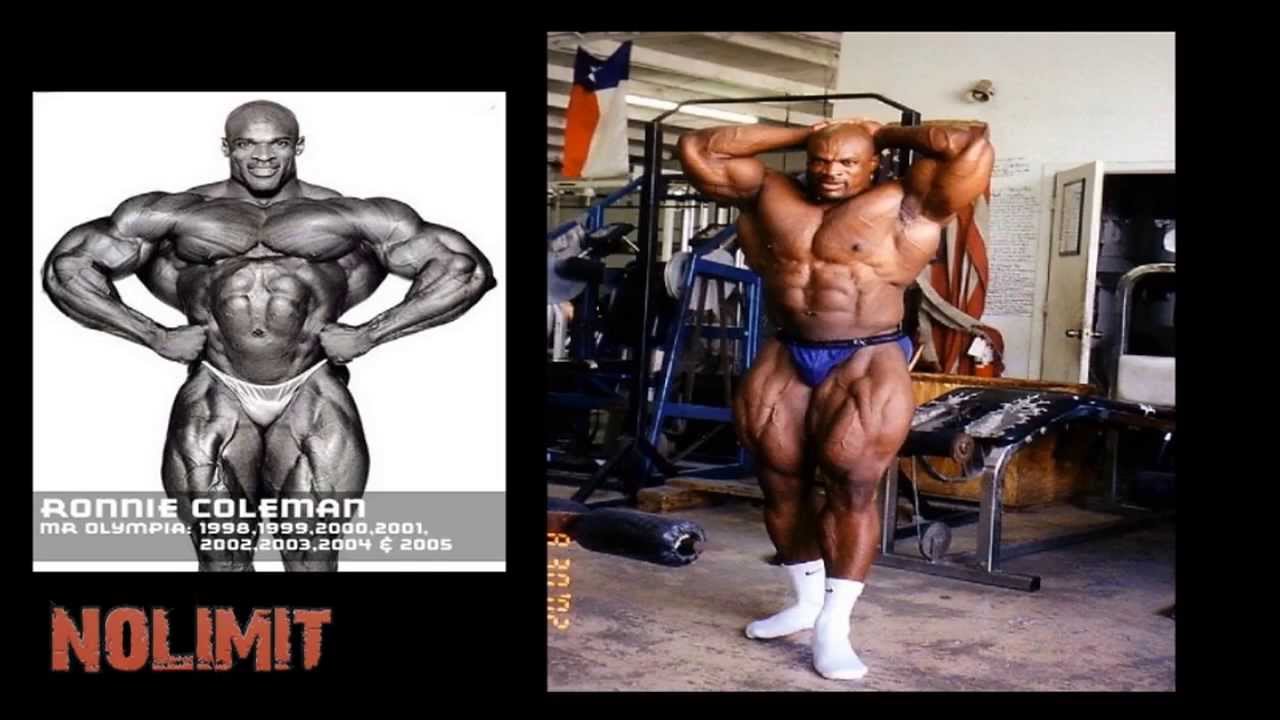 Mr.Olympia All Stars 1965-2013