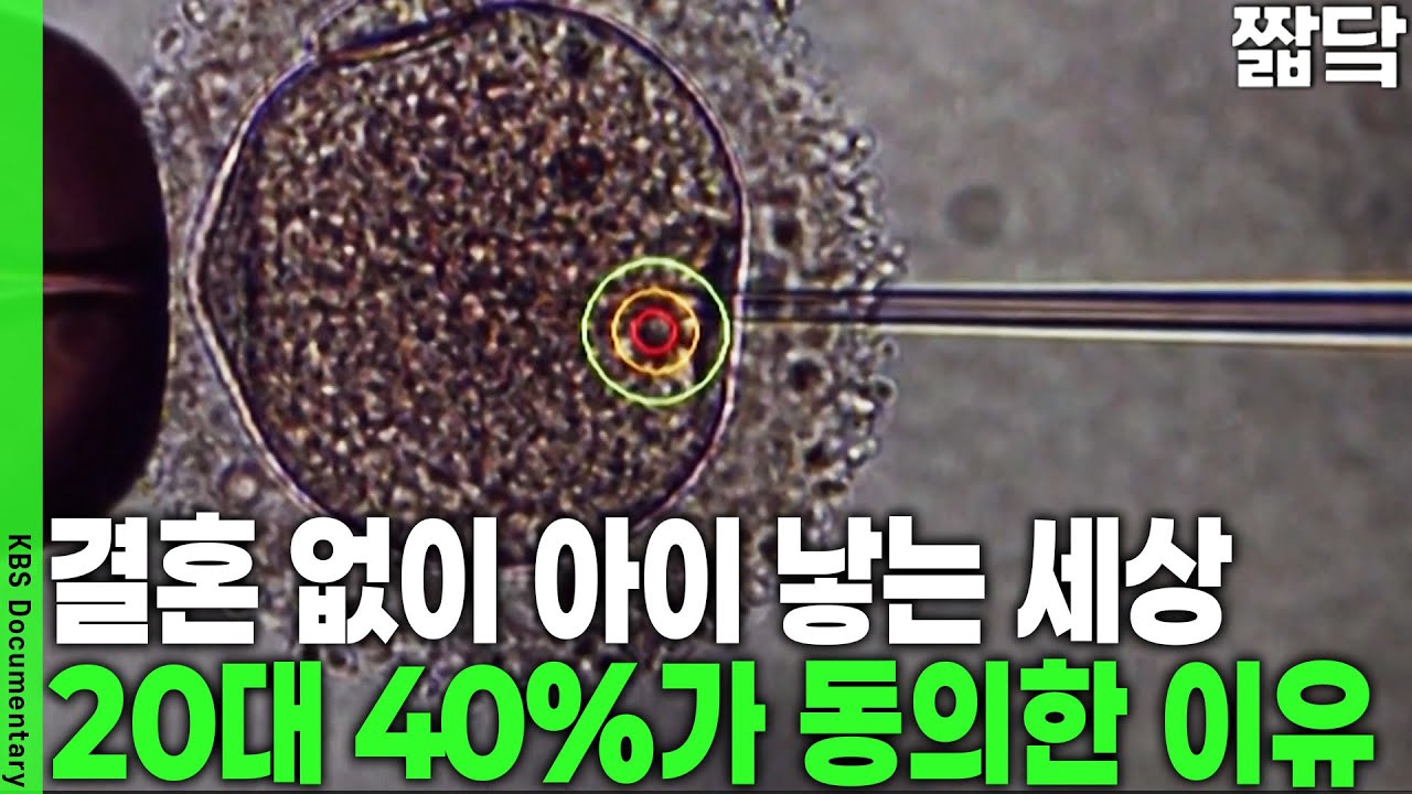 4천만 원 쓰고 덴마크로 갑니다! 아이를 낳고 싶은 그녀, 왜 외국으로 떠나야 했을까? | KBS 20250622 방송