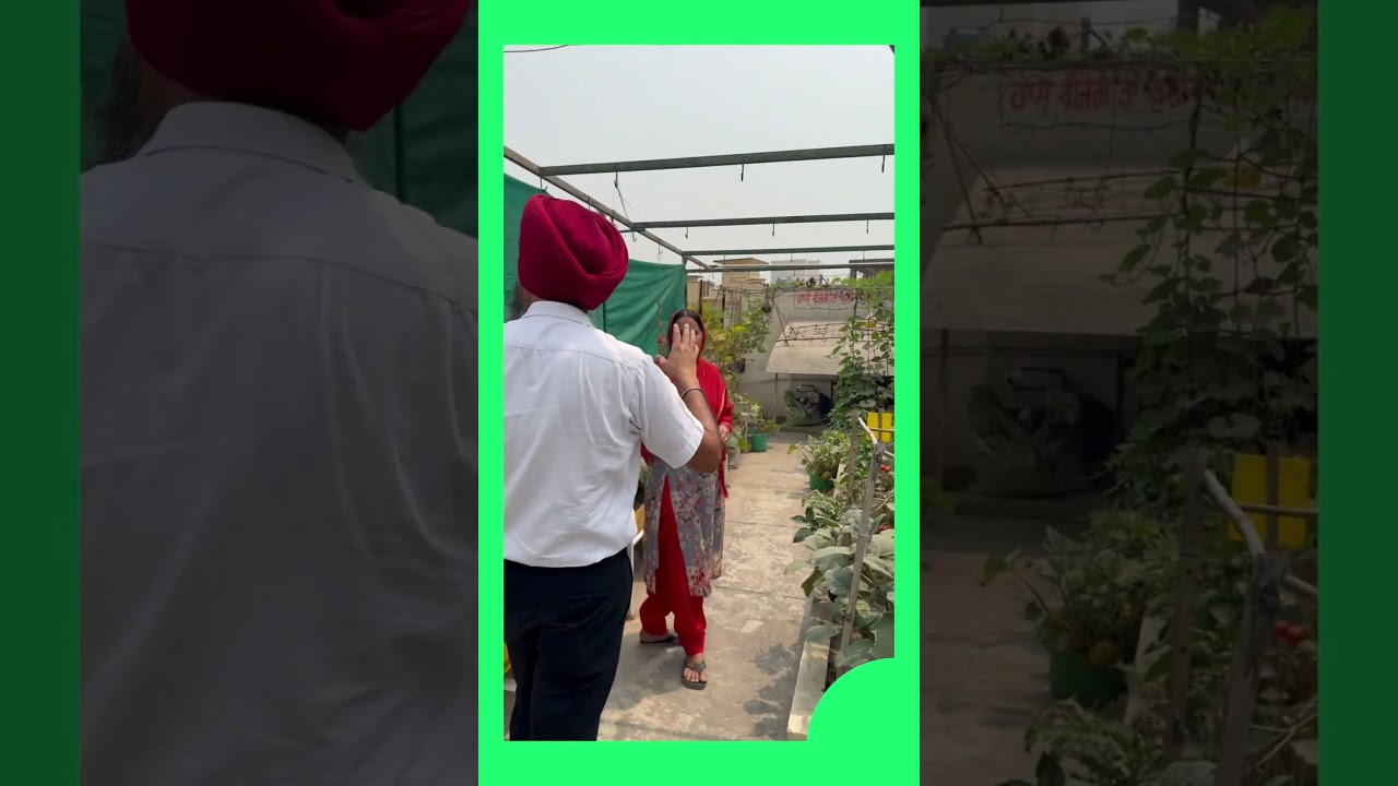 Green Net Shade for Plants 🪴