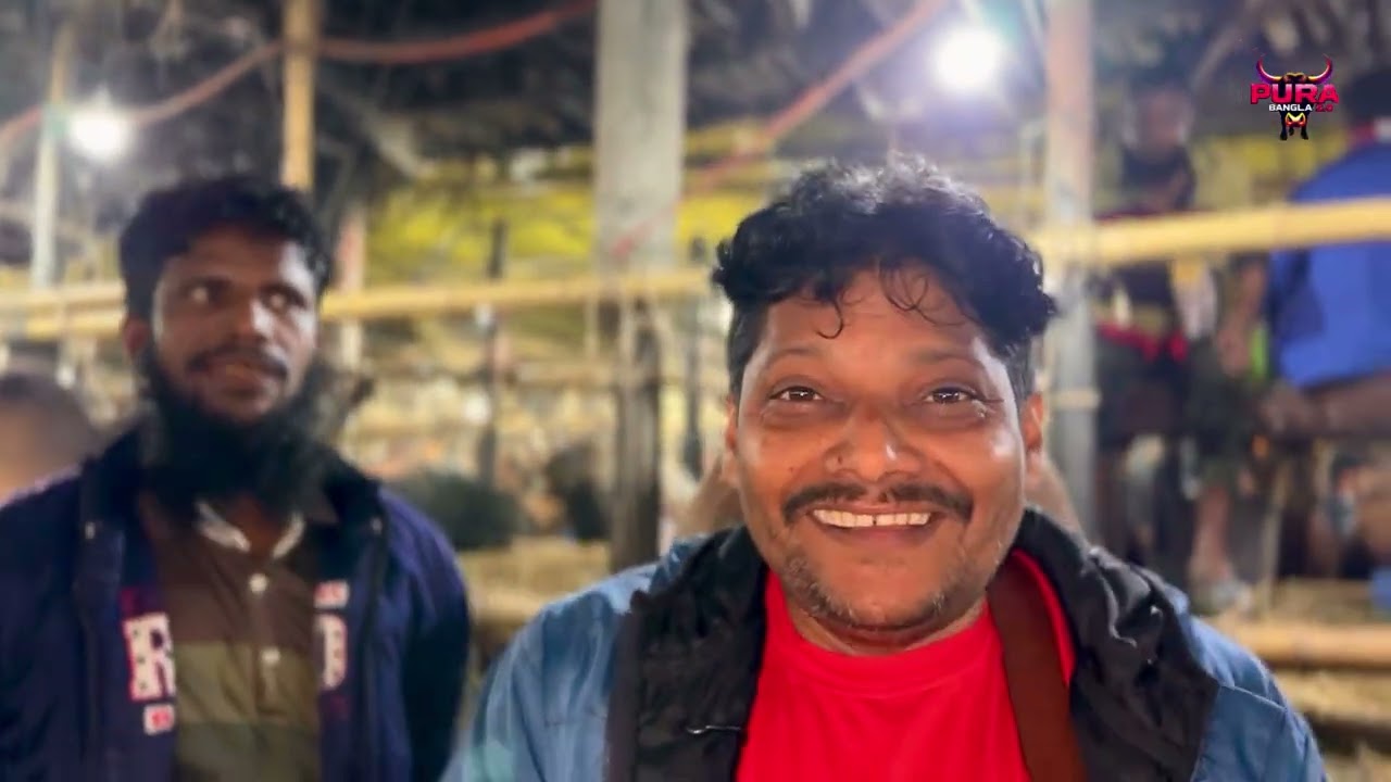 সবেবরাতে গাবতলী হাট কাঁপছে! 😮 | গরু-মহিষের দাম আকাশচুম্বী | Akram Vai Deal | 2 Feb 2026