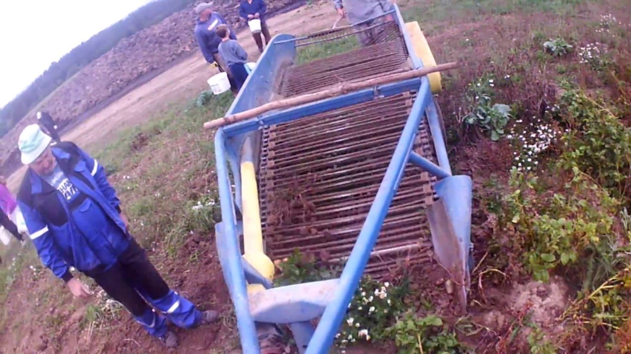|Realné Farmaření| #8 Vybírání brambor :) zetor 3011 super