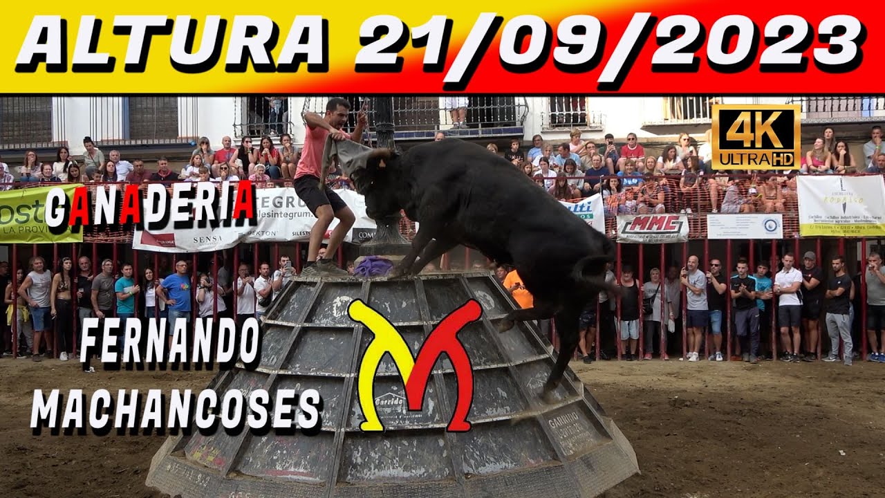 ✅✔👉ALTURA 2023 FERNANDO MACHANCOSES