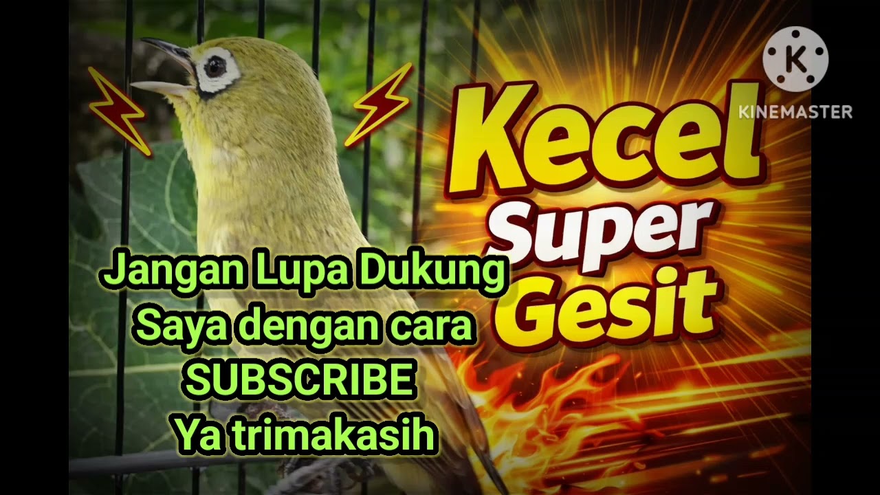 Kecial Jos Super Gesit