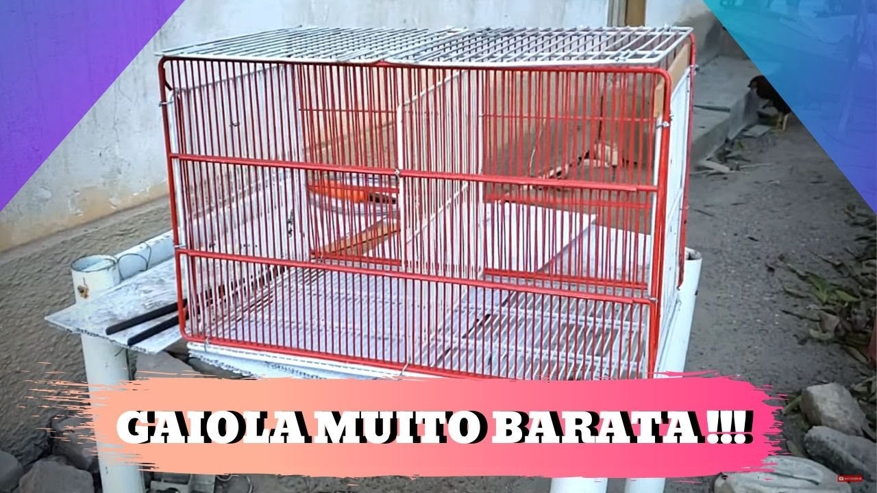 COMO FAZER UMA GAIOLA RÁPIDA E BARATA ?! ( CODORNA, GALINHA, COELHO )