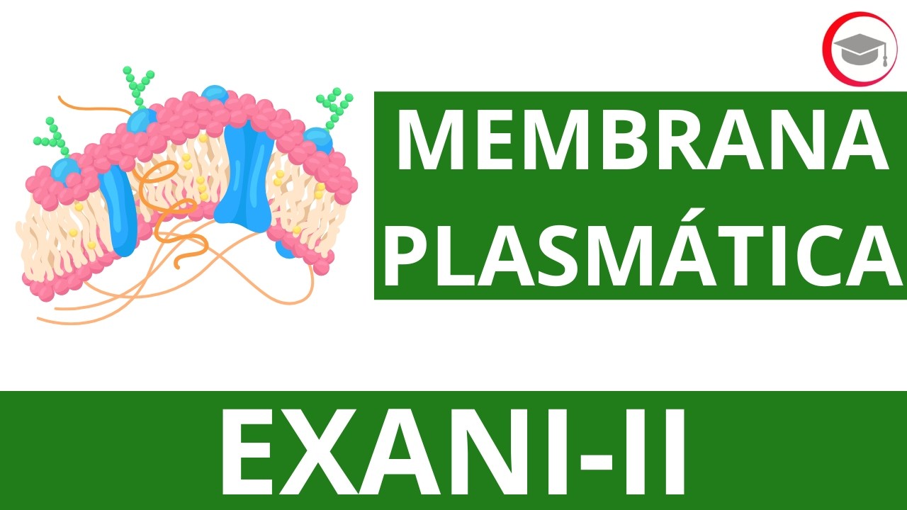 COMPONENTES DE LA MEMBRANA CELULAR | CLASE 9 DEL CURSO DE PREMEDICINA EXANI-II